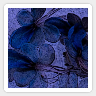 Botanical Pillows Blue Butterfly Flower Glory Bower Wings Sticker